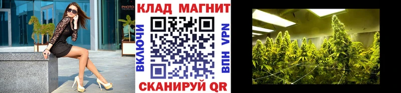 Цена Краснознаменск Псилоцибиновые грибы  Каннабис  Меф мяу мяу  ГАШ  Метамфетамин  COCAIN 