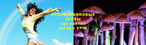 PSILOCYBIN Алексеевка