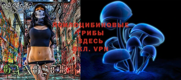 PSILOCYBIN Алексеевка