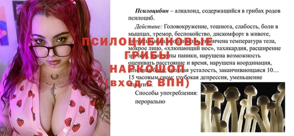 PSILOCYBIN Алексеевка