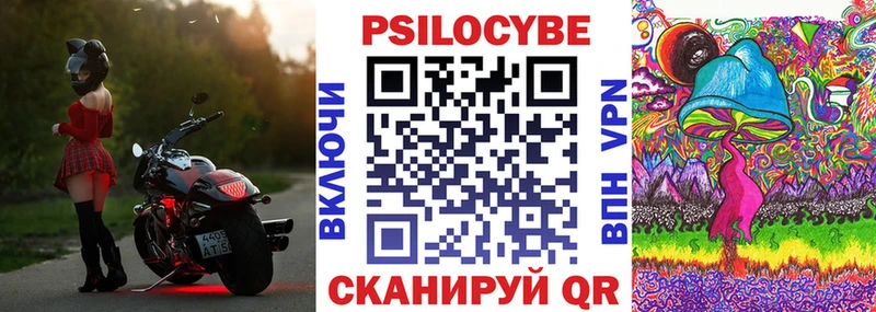 закладки  мега ТОР  Галлюциногенные грибы Psilocybine cubensis  Краснознаменск 
